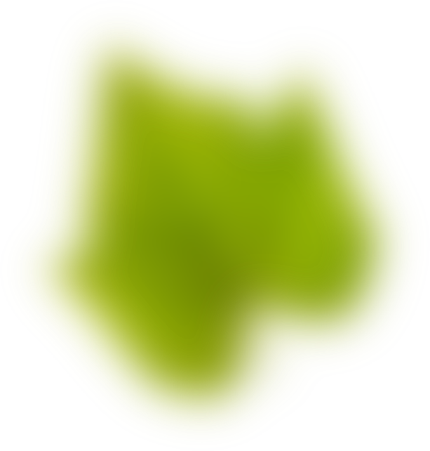 Feuille