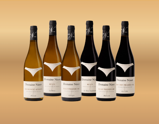 Sélection Découverte du Domaine